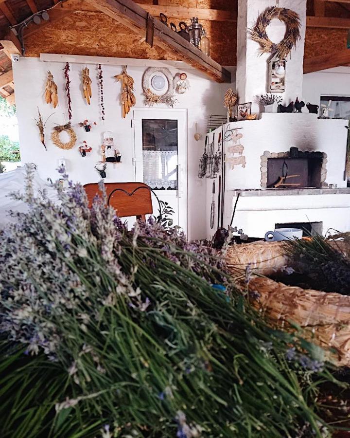 Villa Lukash Yanoshi Εξωτερικό φωτογραφία
