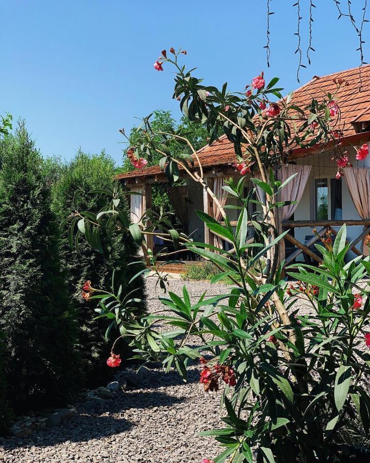 Villa Lukash Yanoshi Εξωτερικό φωτογραφία